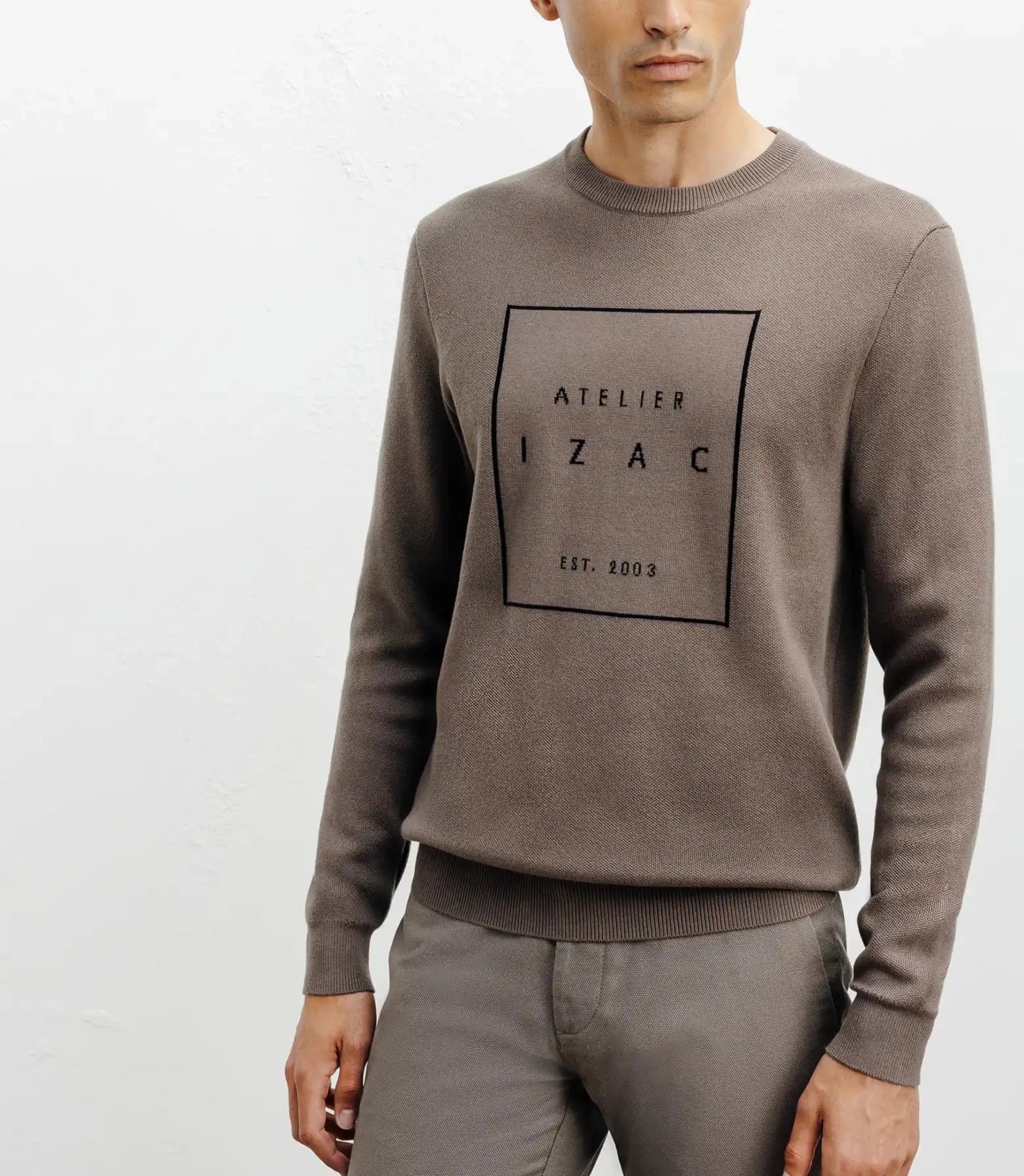 Pull col rond fantaisie chatain